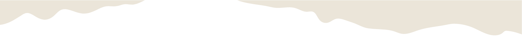 Section Divider