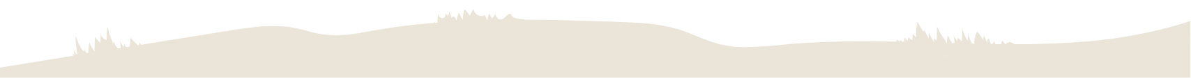 Section Divider