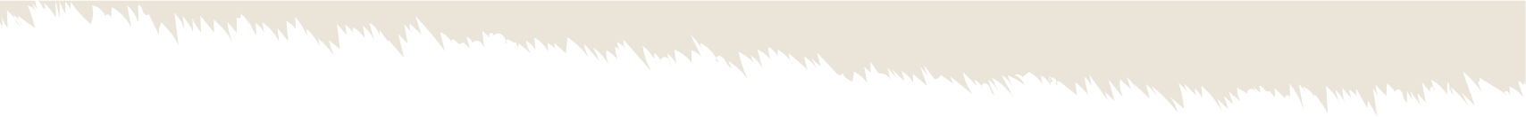 Section Divider