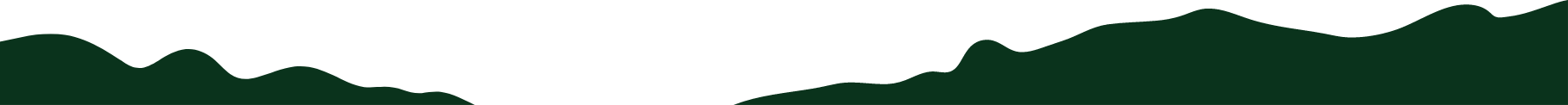 Section Divider