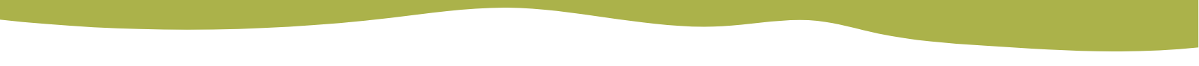 Section Divider