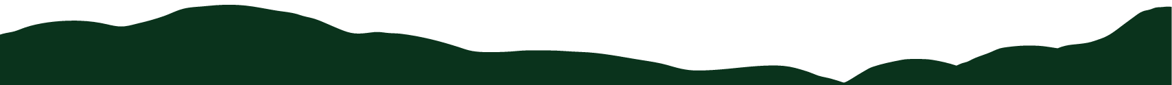 Section Divider