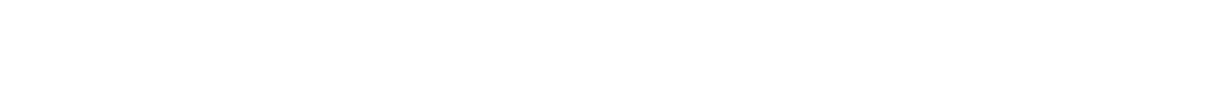 Section Divider