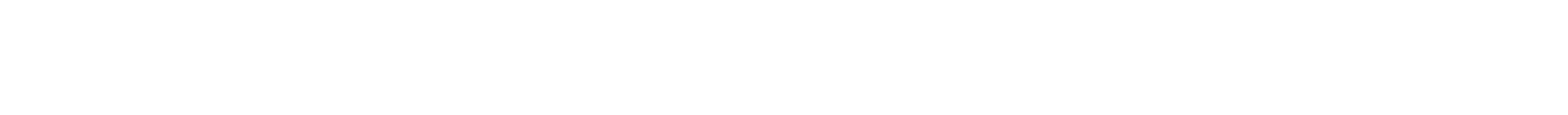 Section Divider