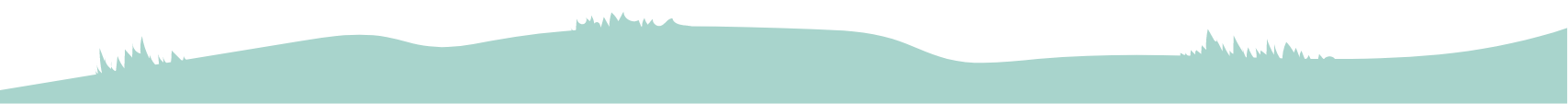 Section Divider
