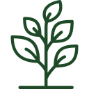 Boosts Plant Growth Naturally