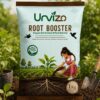 Root Booster