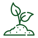 Improves Soil Fertility