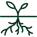 Promotes Strong Root Development