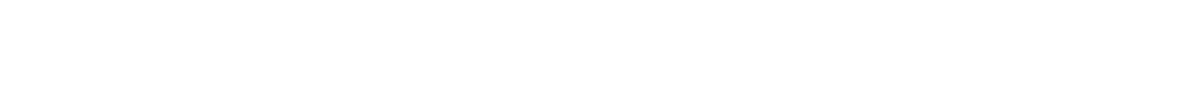 Section Divider