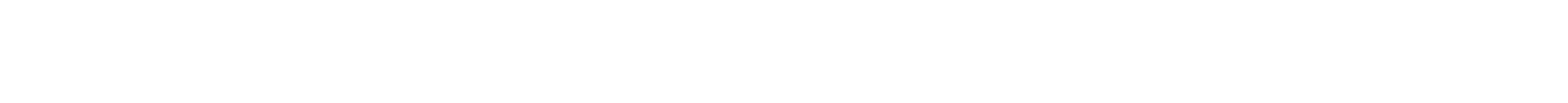 Section Divider